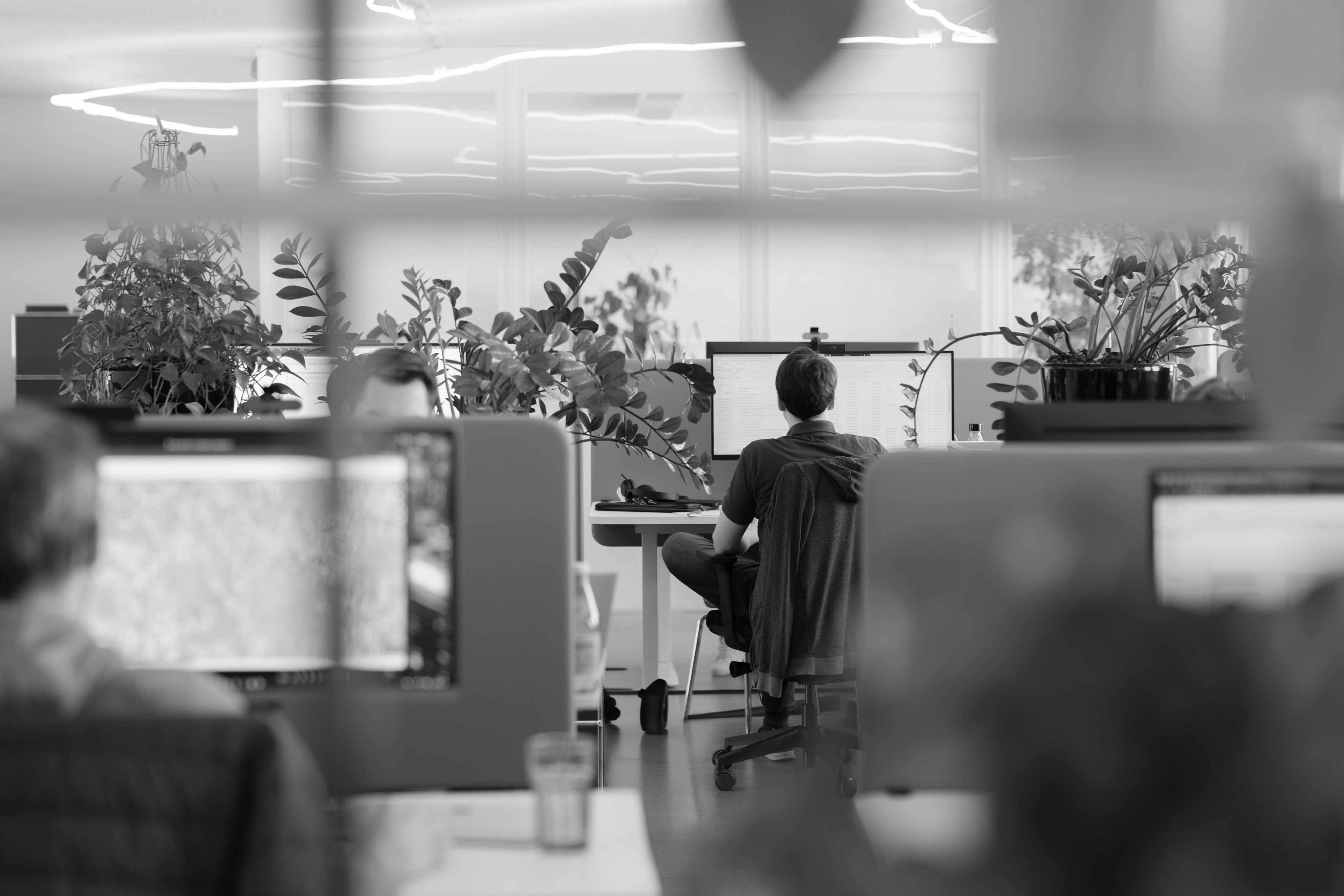 Office environment covered in plants, in the center - person sitting back to camera working at their desk.