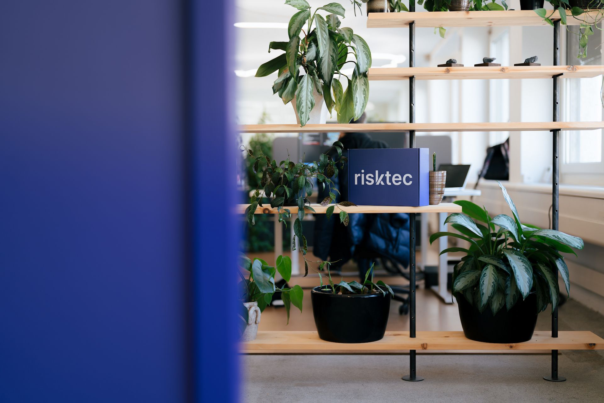 risktec office, shelf with plants.
